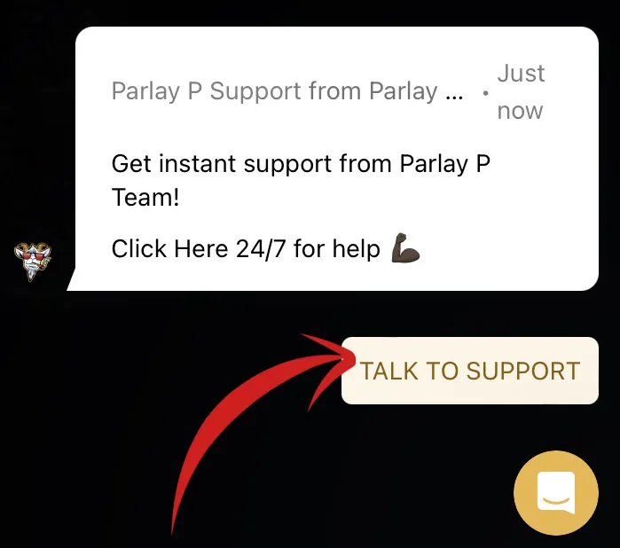 The chat window with the Talk to Support option